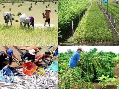 Bộ Nông nghiệp và Môi trường sẽ ban hành 58 thông tư trong năm 2025