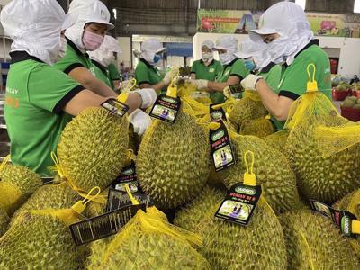 Hợp tác quốc tế tạo động lực thúc đẩy xuất khẩu nông sản Việt