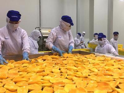 Agricultural exporters face challenge from stricter EU food safety regulations  