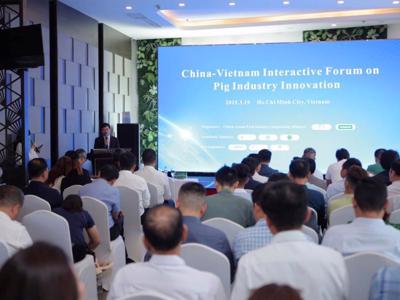 Vietnam - China interactive forum on pig farming held