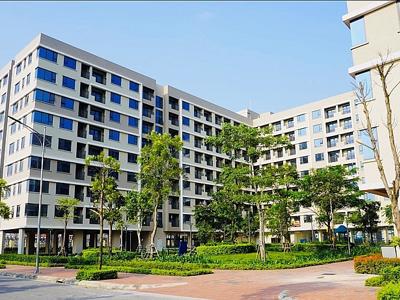 Thí điểm một số cơ chế, chính sách đặc thù phát triển nhà ở xã hội