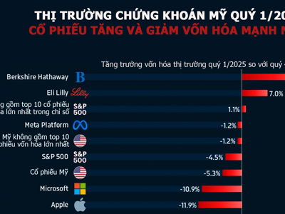 Những cổ phiếu Mỹ tăng, giảm mạnh nhất quý 1/2025