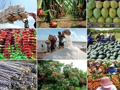 Xuất khẩu nông, lâm, thủy sản quý 1/2025 tăng trưởng ấn tượng
