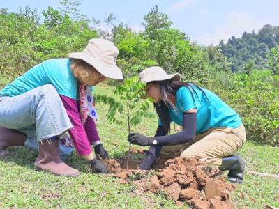 Sản xuất nông nghiệp quý 1/2025: Trồng rừng tăng mạnh; nông, thuỷ sản đẩy mạnh ứng dụng công nghệ cao