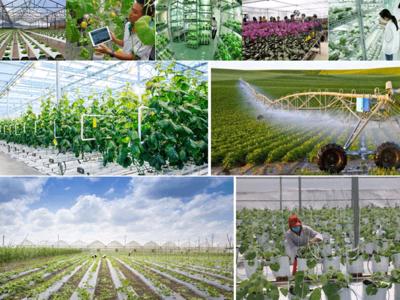 8 giải pháp thực hiện mục tiêu tăng trưởng của ngành Nông nghiệp và Môi trường