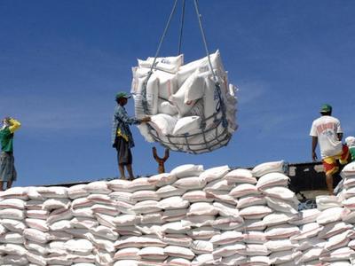 Gạo Việt Nam vẫn sẽ là nguồn nhập khẩu chính của Philippines 