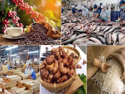 Có 15 ngân hàng tham gia gói tín dụng 100 nghìn tỷ đồng cho lĩnh vực nông, lâm nghiệp và thủy sản