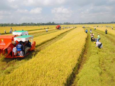 Đề xuất tiếp tục miễn thuế sử dụng đất nông nghiệp tới hết năm 2030