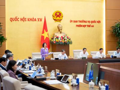 Cần làm rõ tính vượt trội trong dự thảo về phổ cập giáo dục mầm non cho trẻ từ 3 - 5 năm tuổi