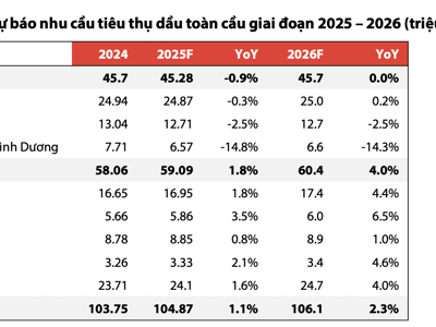 Bất chấp triển vọng giá dầu xấu đi năm 2025, các doanh nghiệp dầu khí trong nước vẫn có lãi 