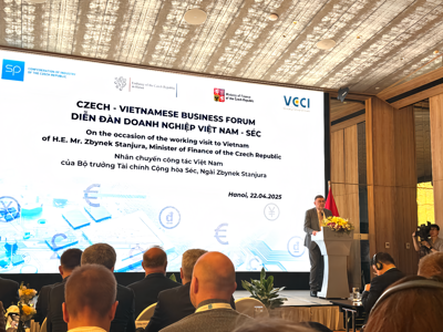 Tăng cường kết nối hợp tác đầu tư Việt Nam - Séc trên đa lĩnh vực