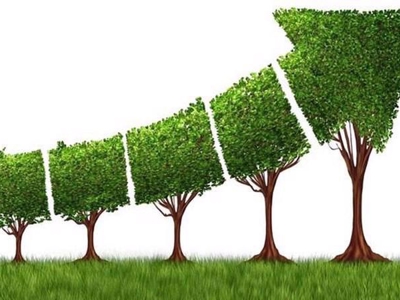 Bước chuyển mình trong dòng chảy phát triển xanh toàn cầu
