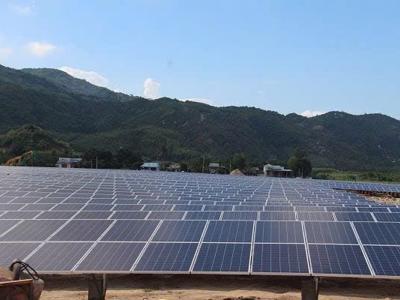 Vụ dự án điện mặt trời: Viện kiểm sát đề nghị Tòa án buộc 3 doanh nghiệp phải bồi thường cho EVN 1.252 tỷ đồng 