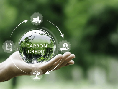 Bao giờ ngân hàng nhận tín chỉ carbon làm tài sản bảo đảm?