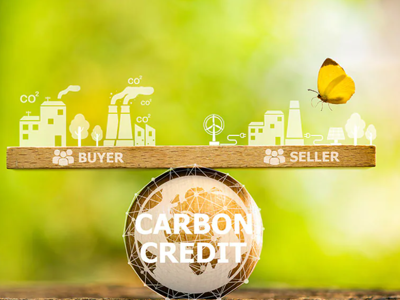Nghịch lý tín chỉ carbon: Doanh nghiệp gây ô nhiễm nhiều nhất lại thu hàng triệu USD từ cơ chế
