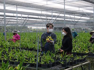 Hải Phòng đề xuất mỗi năm hỗ trợ 375 tỷ đồng cho phát triển nông nghiệp