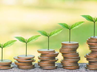 Đầu tư xanh từ khu vực tư nhân ở Việt Nam đạt hơn 160 triệu USD