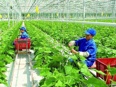 Nghiên cứu, thử nghiệm và nhân rộng các mô hình kinh tế xanh