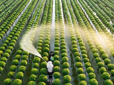 Bộ Nông nghiệp và Môi trường gấp rút sửa đổi hai Luật để phù hợp với tình hình mới