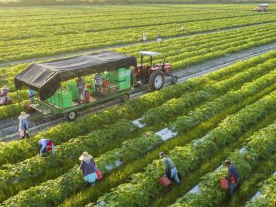 Australia hỗ trợ 2 triệu đô la Úc cho các giải pháp sáng tạo ứng phó với biến đổi khí hậu trong ngành nông nghiệp Việt Nam