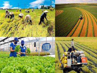 Trình Quốc hội xem xét kéo dài thời hạn miễn thuế sử dụng đất nông nghiệp đến hết năm 2030