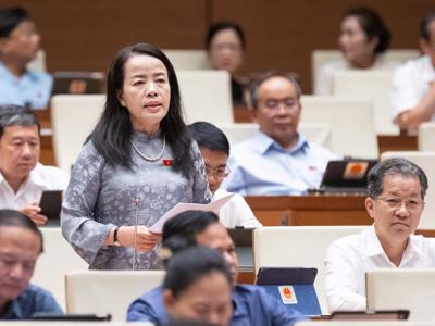 Cần giữ lại quyền chất vấn của đại biểu Hội đồng nhân dân với Chánh án, Viện kiểm sát