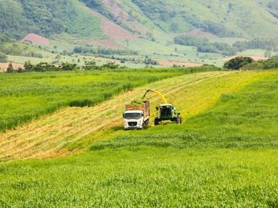 Kinh tế tuần hoàn và năng lượng sạch là trụ cột trong kế hoạch xanh hóa tại Nghệ An