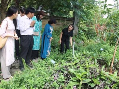 Đổi mới sáng tạo trong phát triển tài nguyên dược liệu tại Ninh Bình