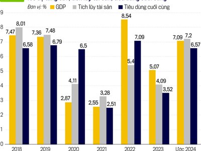 Xem xét GDP dưới góc độ sử dụng