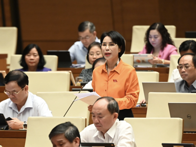 Nhiều hộ kinh doanh doanh thu hàng chục tỷ đồng nhưng chỉ khoán thuế, rất bất bình đẳng với doanh nghiệp 
