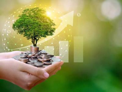 Tăng trưởng tín dụng xanh đạt 21,2% mỗi năm