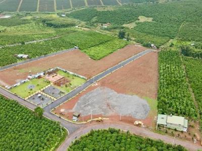 Hà Nội đề xuất các công trình được xây dựng trên đất nông nghiệp