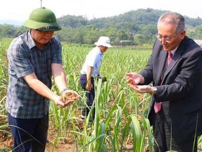 Cuộc cách mạng xanh, "gieo tín chỉ carbon" từ cây mía xứ Thanh