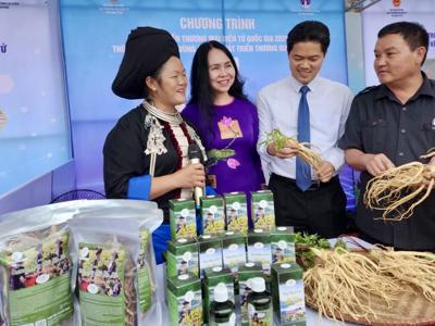 Xây dựng hệ sinh thái thương mại điện tử vùng Trung du và miền núi phía Bắc