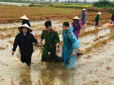 Công an, bộ đội giúp dân thu hoạch lúa sau mưa lũ ở Hà Tĩnh