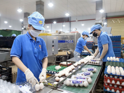 Thủ tục đầu tư rối rắm đang cản trở dòng vốn vào nền kinh tế