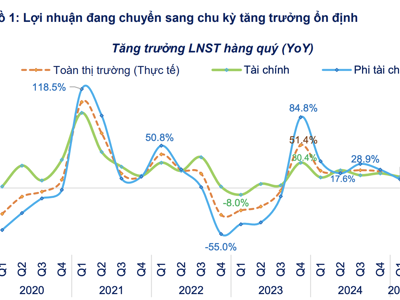 Lợi nhuận doanh nghiệp quý 1/2025: Chỉ tăng 12% nhưng chất lượng và ổn định, không còn phụ thuộc vào thu nhập tài chính 