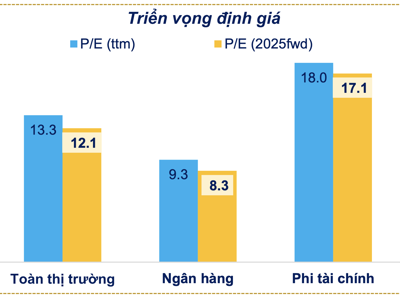 Định giá nhóm cổ phiếu vừa và nhỏ đang "rẻ"? 