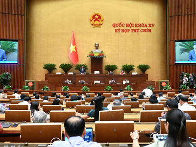 Viện kiểm sát nhân dân khởi kiện vụ án dân sự  là để bảo vệ lợi ích công và nhóm dễ bị tổn thương