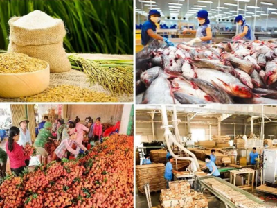 Thủ tướng yêu cầu thực hiện các giải pháp tiêu thụ và xuất khẩu nông sản