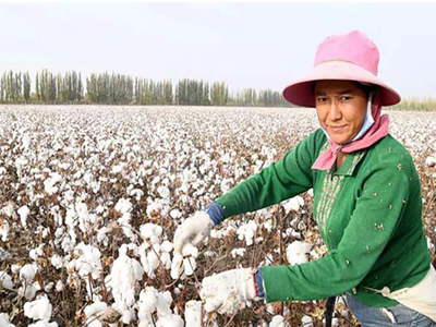 Sợi bông Việt Nam có nguy cơ bị áp thuế tự vệ tại Indonesia 