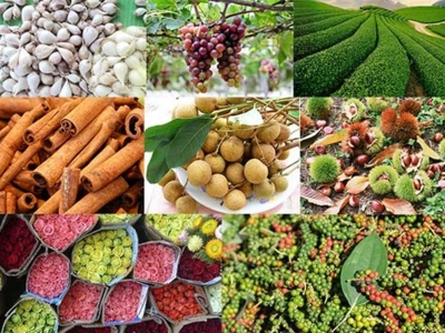 Xuất khẩu nông, lâm, thủy sản 5 tháng đầu năm: Hoa Kỳ vẫn là thị trường lớn nhất của Việt Nam