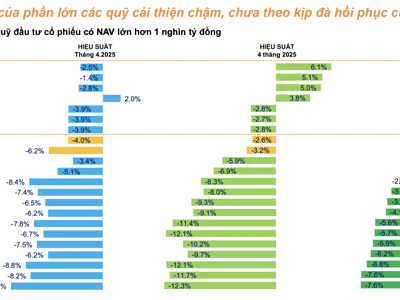 Hiệu suất tăng mạnh 14,5% từ đầu năm, Fubon FTSE tiếp tục bị rút ròng
