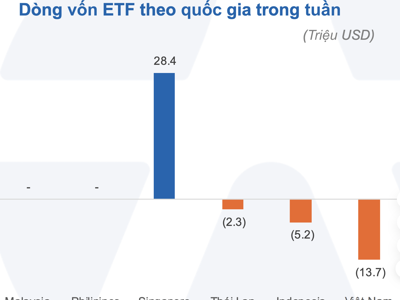 Các quỹ ETF đầu tư vào Việt Nam bị rút ròng mạnh nhất Đông Nam Á 