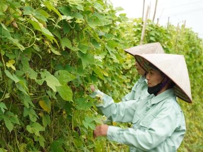 Chương trình CSI 2025: Khuyến khích doanh nghiệp đi từ “tuân thủ” lên “đổi mới sáng tạo” trong kinh doanh bền vững