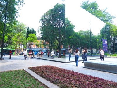 Hà Nội hoàn thành 70 dự án công viên, vườn hoa, đạt tỷ lệ 140% so với chỉ tiêu 