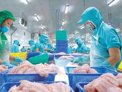 Xuất khẩu thủy sản “giảm tốc” trong tháng 5 do tác động từ chính sách thuế của Hoa Kỳ