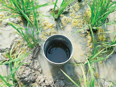 Đăng ký thành công tín chỉ carbon theo tiêu chuẩn Verra