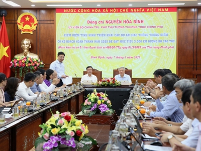 Phó Thủ tướng Nguyễn Hoà Bình thị sát, kiểm tra tiến độ 4 dự án quan trọng thuộc tuyến cao tốc Bắc - Nam phía Đông