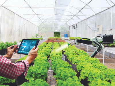 TP.HCM phát động cuộc thi Khởi nghiệp đổi mới sáng tạo trong lĩnh vực nông nghiệp công nghệ cao